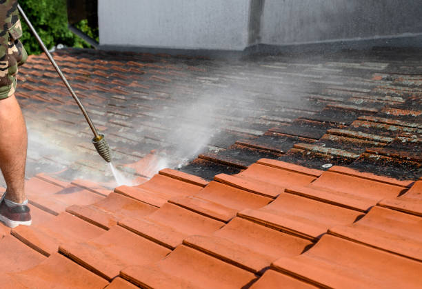 Best Garage Pressure Washing  in Northvale, NJ