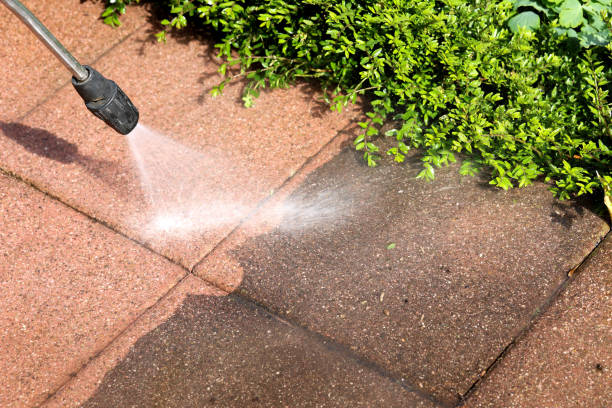 Best Roof Pressure Washing  in Northvale, NJ